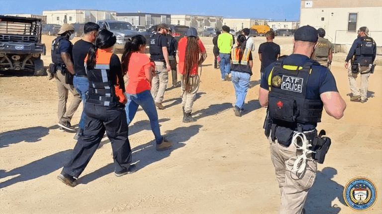 Former DHS official hails ICE raid on Georgia EV plant as 'great deterrent' against hiring illegals