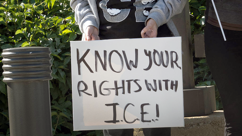 Democrats splinter on Trump’s immigration crackdown as GOP unites