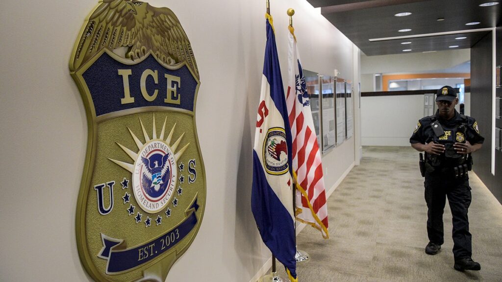 Chicago anti-ICE agitator faces federal charges after threatening to 'kill' agent