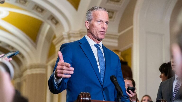 Thune slams Democrats' 'cold-blooded partisan' tactics as funding deadline nears