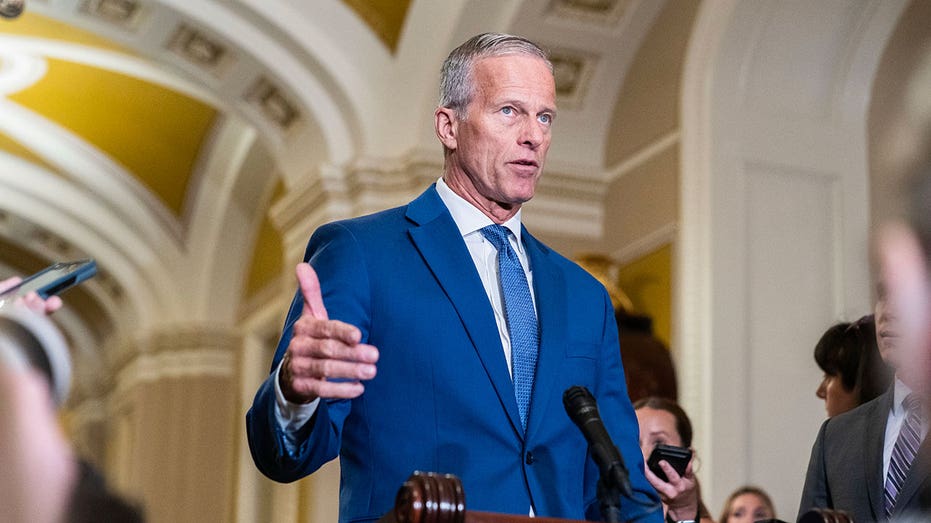 Thune slams Democrats' 'cold-blooded partisan' tactics as funding deadline nears
