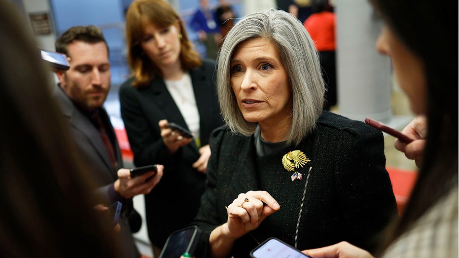 GOP senator blasts Schumer, Dems as 'forcing' shutdown while demanding price tag report