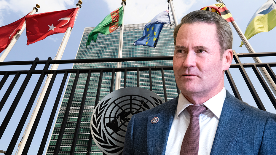 Waltz to root out antisemitism, eliminate 'woke' programs, get 'back to basics' at the United Nations