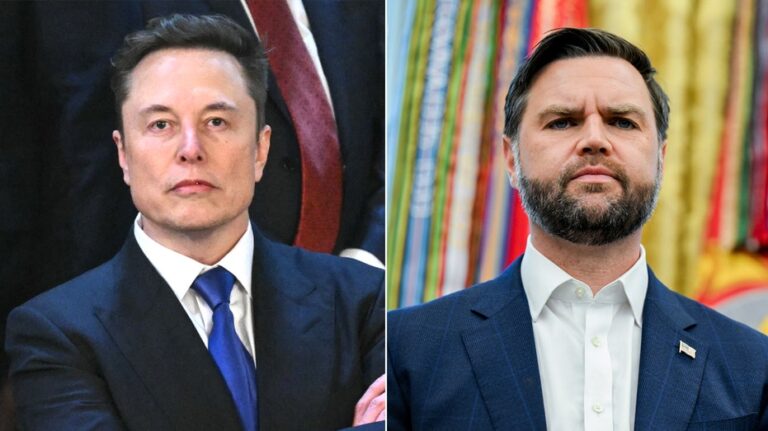 Elon Musk agrees with JD Vance on the 'big lie the Democrats told about violent crime'