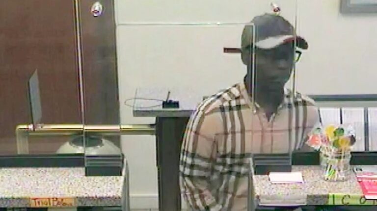 'Burberry Bandit' with dozens of prior arrests walks free after latest blue city crime spree: report