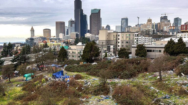 Seattle response to homelessness divides progressives in upcoming mayoral race
