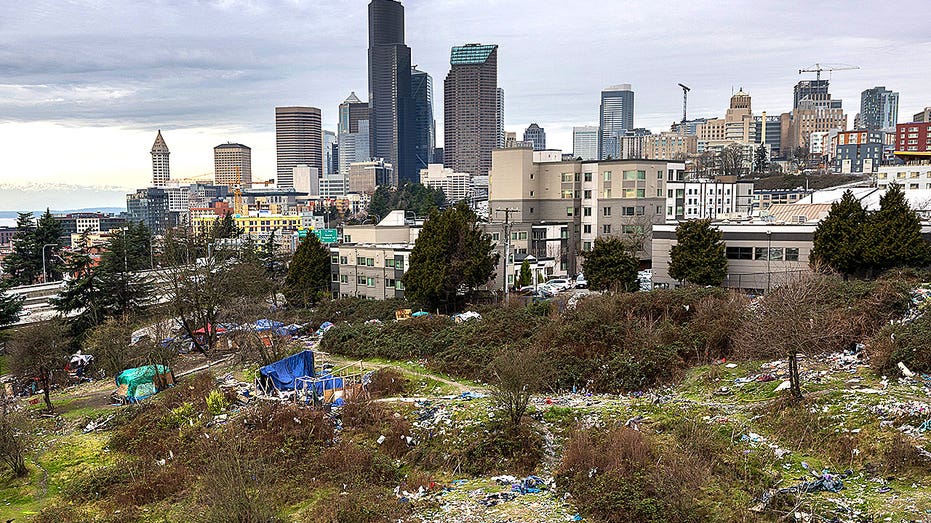 Seattle response to homelessness divides progressives in upcoming mayoral race