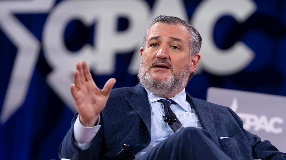 Ted Cruz says hate speech 'absolutely' protected by First Amendment following Charlie Kirk's assassination