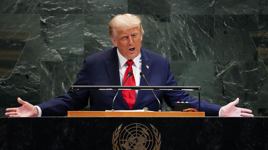 Trump's UN speech reveals inconvenient truth of massive green energy costs