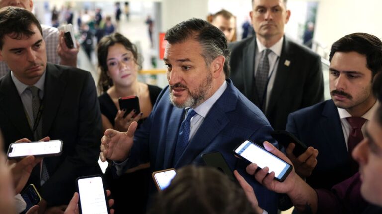 Cruz 'cannot support' Trump's Kuwait ambassador pick over Muslim Brotherhood remarks