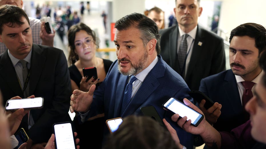 Cruz 'cannot support' Trump's Kuwait ambassador pick over Muslim Brotherhood remarks