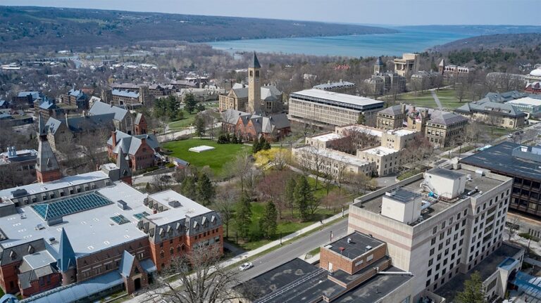 Cornell student newspaper retracts artwork featuring Nazi symbols and bloodied Star of David