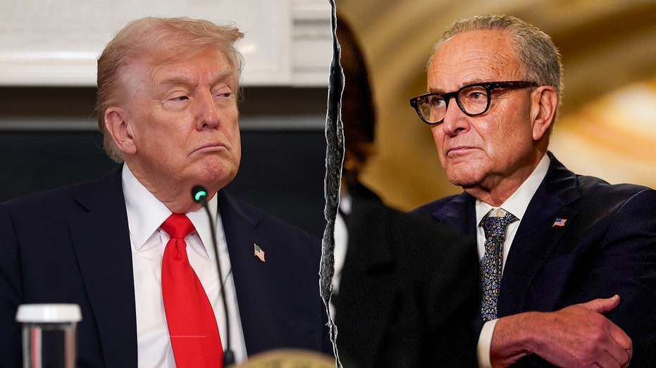 Trump says Schumer, Senate Democrats holding government 'hostage' with shutdown: 'We will not be extorted'