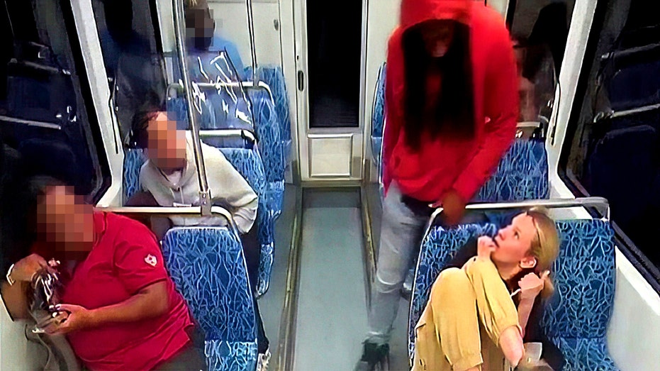 Charlotte train stabbing 911 audio released of deadly attack on Iryna Zarutska