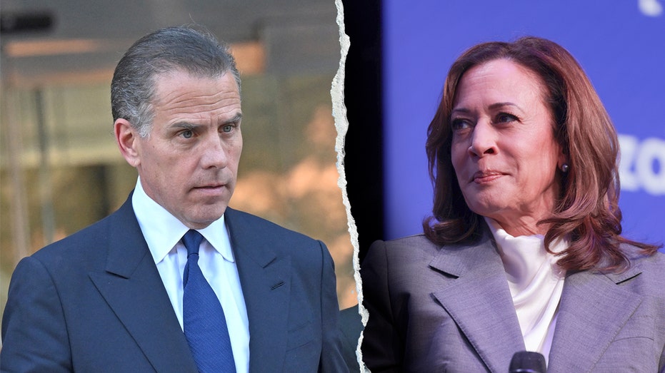 Hunter Biden calls excerpts of Harris' book 'personally painful' and 'not authentic'