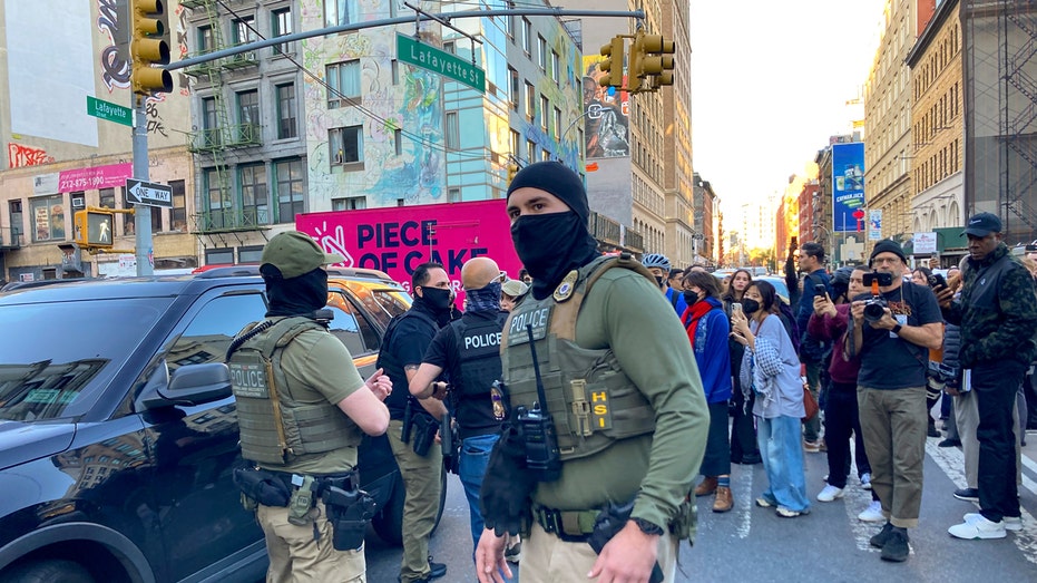 New York City ICE raid nets 9 arrests of illegal aliens from West Africa, 4 protesters also arrested