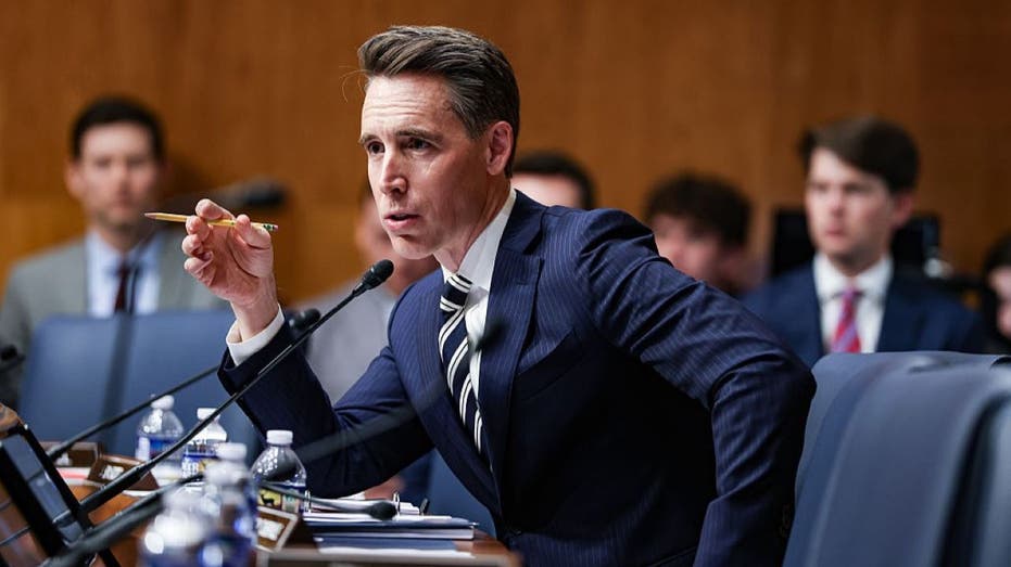 Hawley vows to hold Democrats' 'feet to the fire' with new government shutdown funding bills