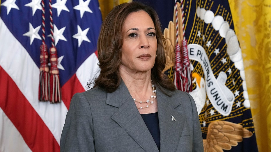 Democratic donor ditched Harris-led fundraiser with a 'profanity-laced rejection': report