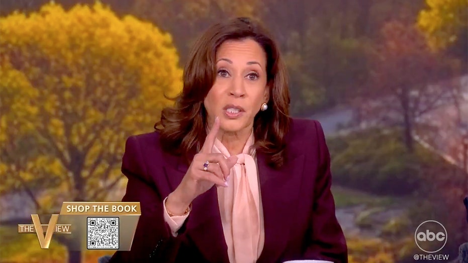 Kamala Harris blames everyone but the Black voters who rejected her