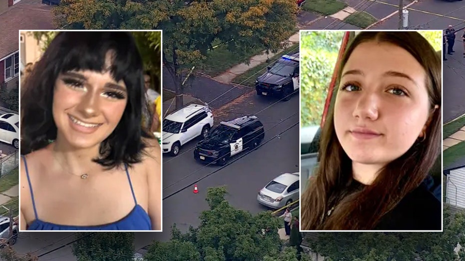 Teen murder suspect allegedly swatted victim's home weeks before deadly hit-and-run: lawyer
