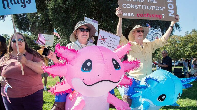 'No Kings' protests largely comprised of people from one demographic: experts