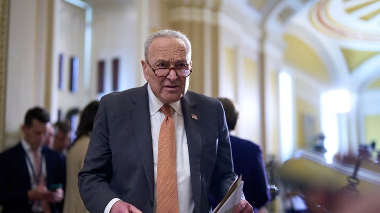 Essential workers left unpaid after Senate Democrats kill pay bill
