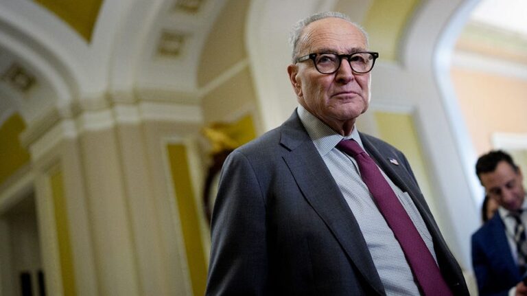 New York Republicans blast Schumer, Gillibrand over shutdown: ‘You’ve abdicated your responsibility’