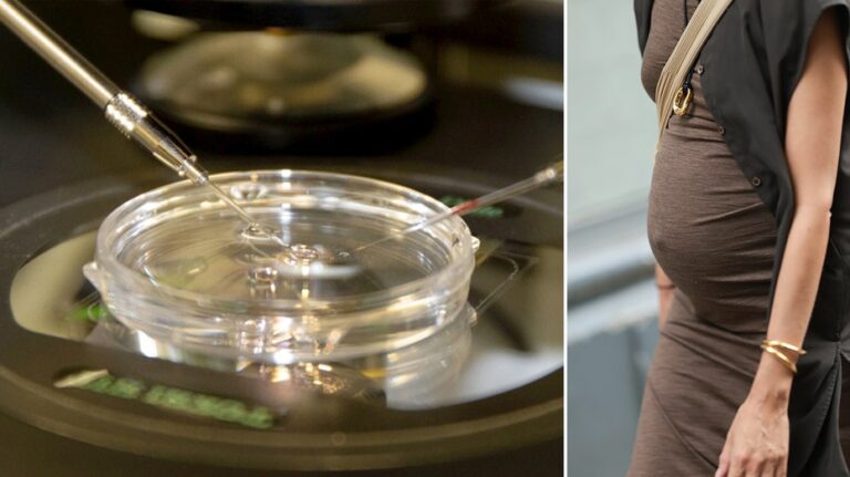 Skin DNA breakthrough could let 60-year-old women have genetically related kids