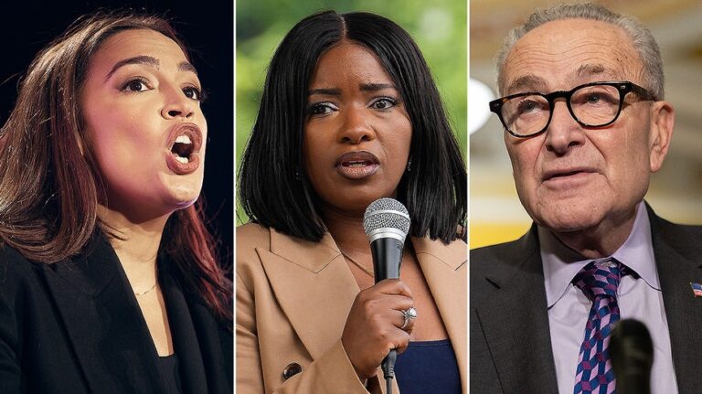 Crockett lukewarm on AOC primarying Schumer, says she doesn't subscribe to 'ageism'