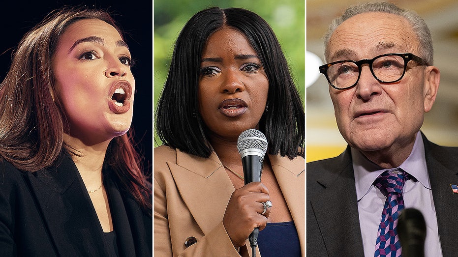 Crockett lukewarm on AOC primarying Schumer, says she doesn't subscribe to 'ageism'