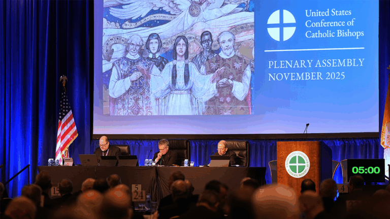 US Catholic bishops vote to officially prohibit gender transition treatment at Catholic hospitals
