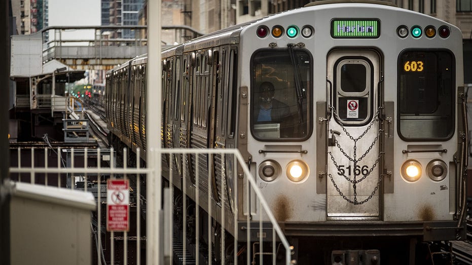 Chicago woman set on fire during argument on CTA train, police say