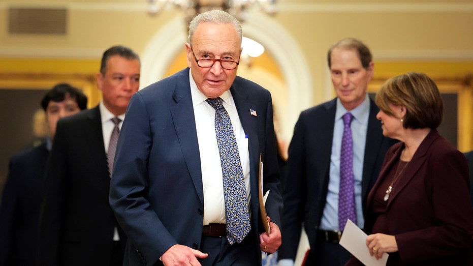 David Axelrod says Chuck Schumer is 'in bigger trouble' after government shutdown turmoil