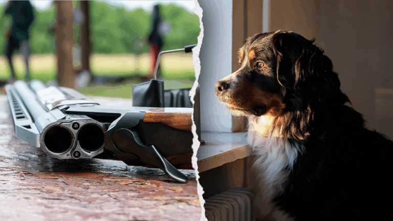 Dog shoots owner after jumping on bed during gun cleaning accident in Pennsylvania home