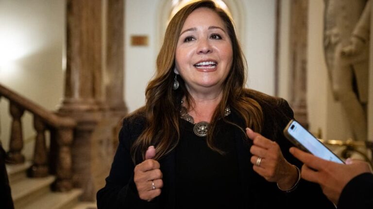 Democrat's swearing-in tips scales for House battle to unseal Epstein documents