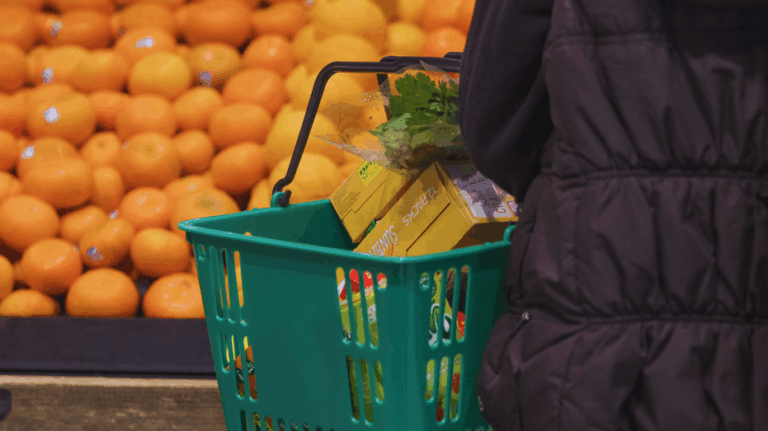 Food-stamp fraud numbers expose which states are draining the most taxpayer dollars