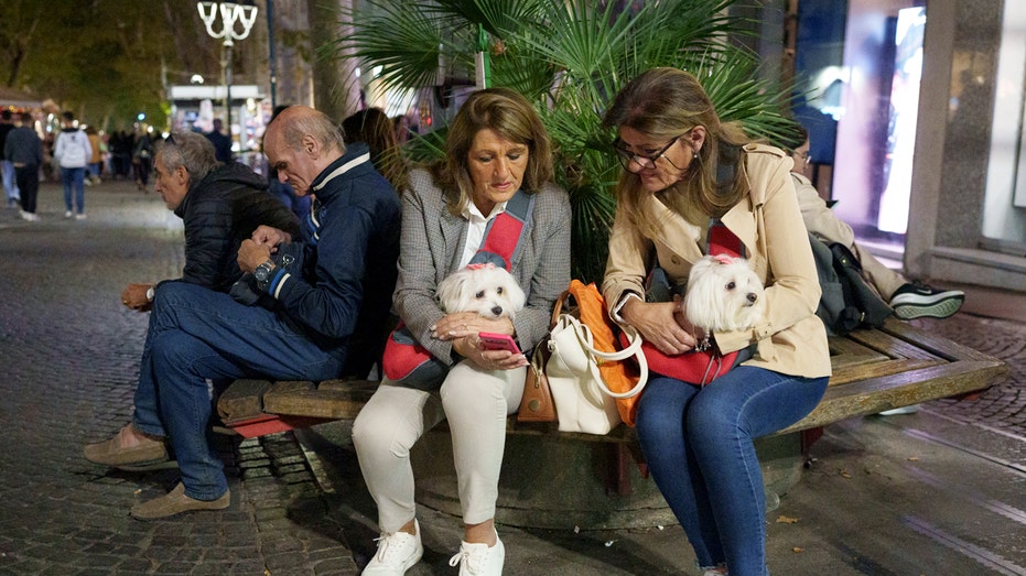 Dog tax slammed as 'short-sighted and unfair' as tourist hot spot aims for public-area cleanup