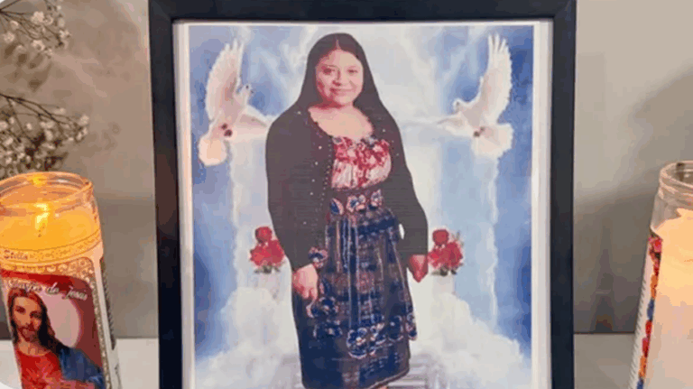 Indiana cleaning lady fatally shot after showing up at wrong home: police