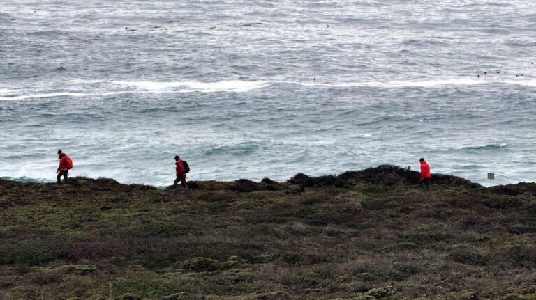 Father dies trying to save 7-year-old daughter after giant wave sweeps her out to sea at California beach
