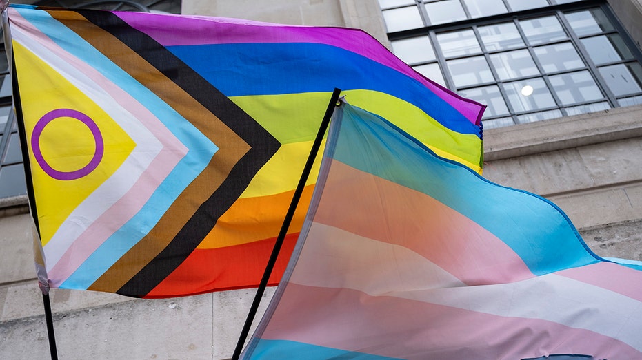Survey school admins don't want you to see asks young children about gender identity, climate change fears