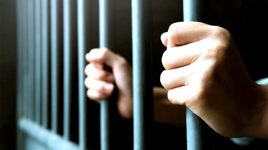 NEWT GINGRICH: Trump could fix our broken prison system and help Make America Safe Again