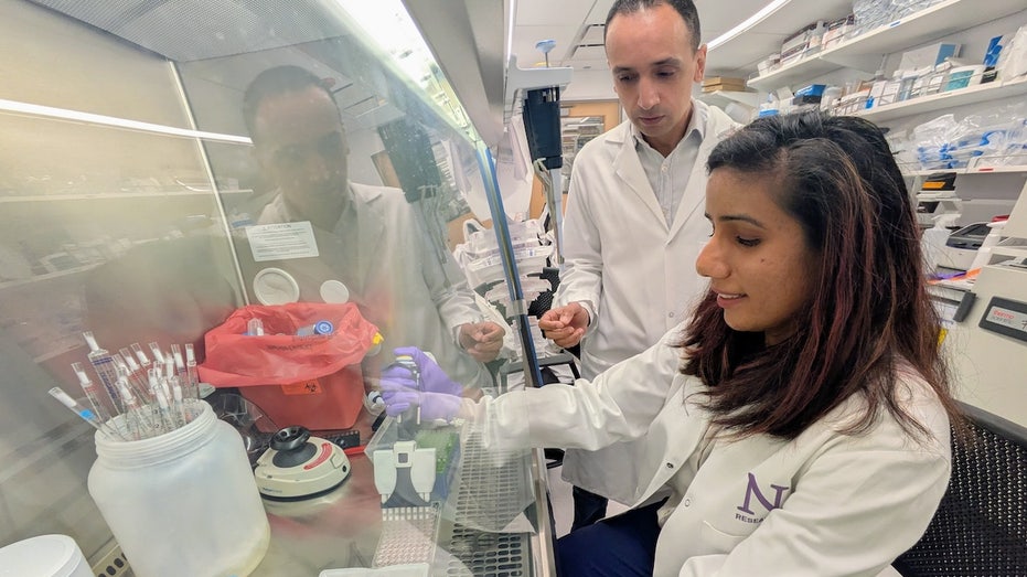 New pancreatic cancer treatment ‘wakes up’ immune cells, researchers say