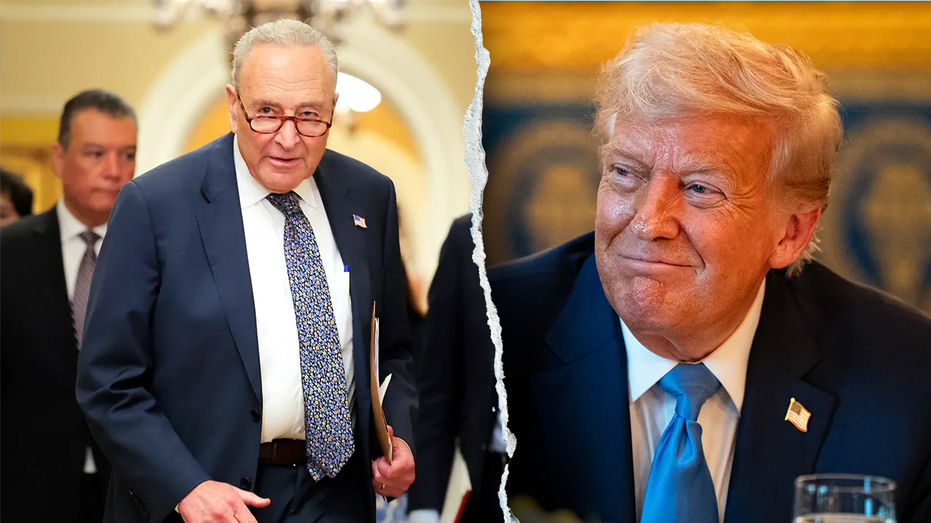 Trump argues Schumer 'made a mistake' amid Dem leader's party infighting