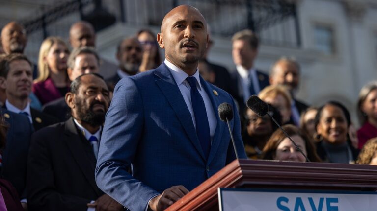 Dems say base is 'rightfully’ angry over their leaders caving to GOP during shutdown fight: 'Porch puppies'
