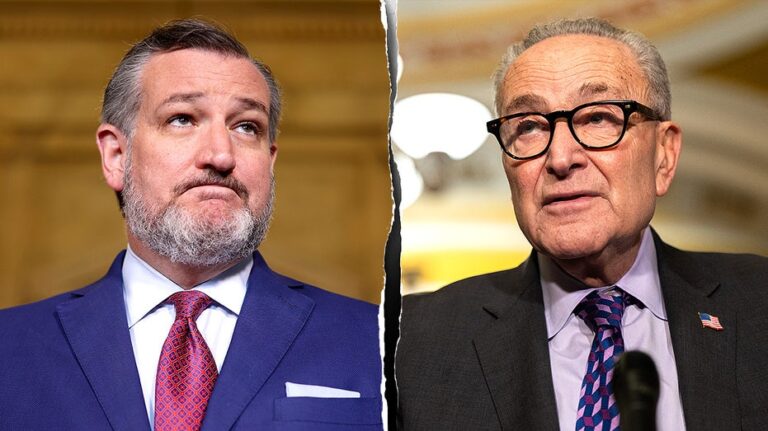 Cruz predicts Democrats will keep shutdown going to rally 'radicals' until after Election Day