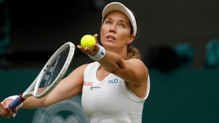 American tennis star raises eyebrows with dating profile: 'Hopefully pop out some babies soon'