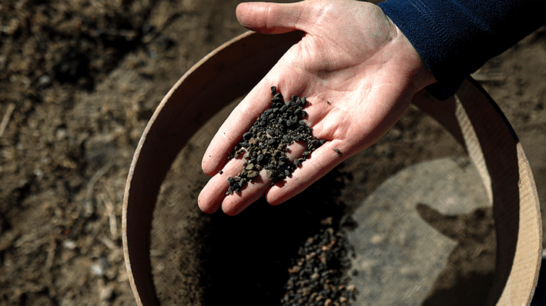 Ancient fire reveals perfectly preserved and 'very important' 5,000-year-old food find
