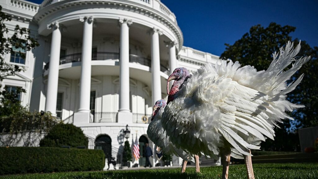 Fox News Poll: Holiday togetherness tops political differences