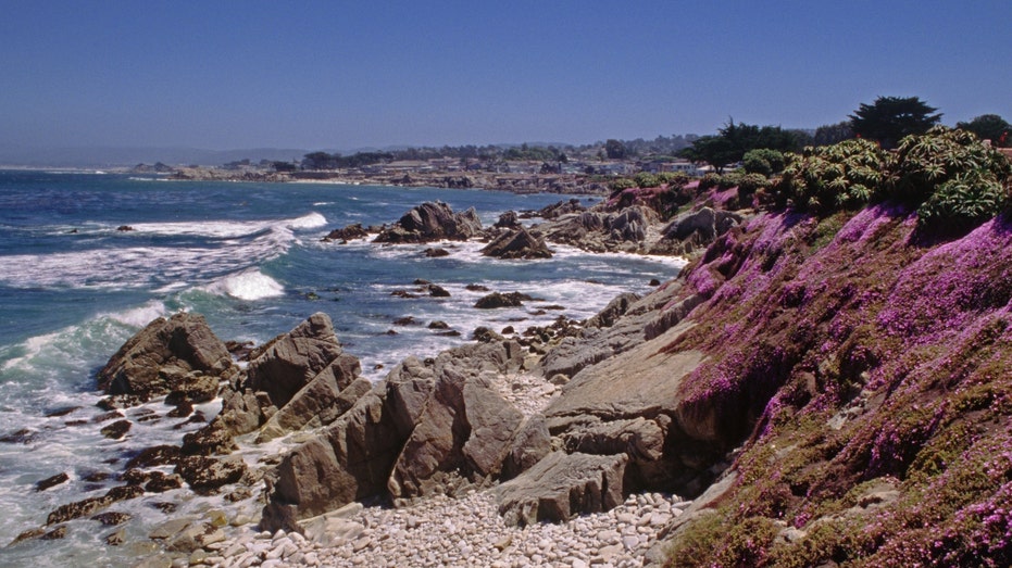 Swimmer vanishes after possible shark encounter off California coast during group outing