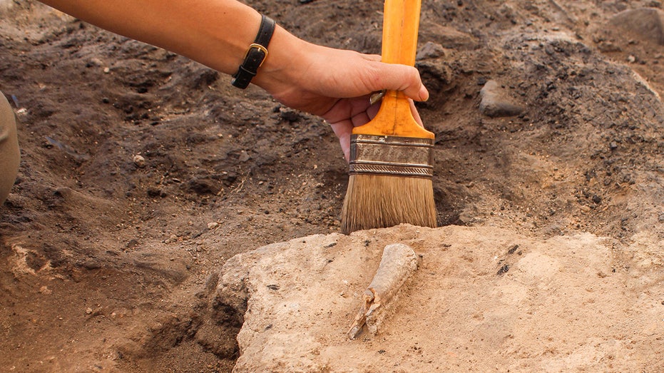 Ancient plague mystery cracked after DNA found in 4,000-year-old animal remains